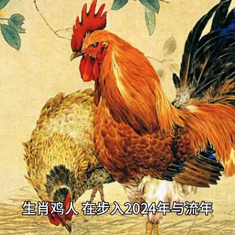 2024生肖49码对照图|确保解答的绝对准确性_顶级款.4.939