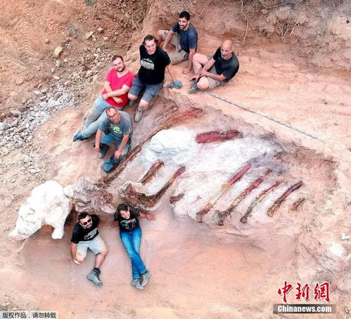 新澳开奖记录今天结果|实践分析解释落实_激发集.9.496