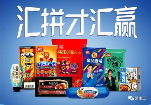 5码精选王中王|探索未来的幸运与机会_pack.5.498